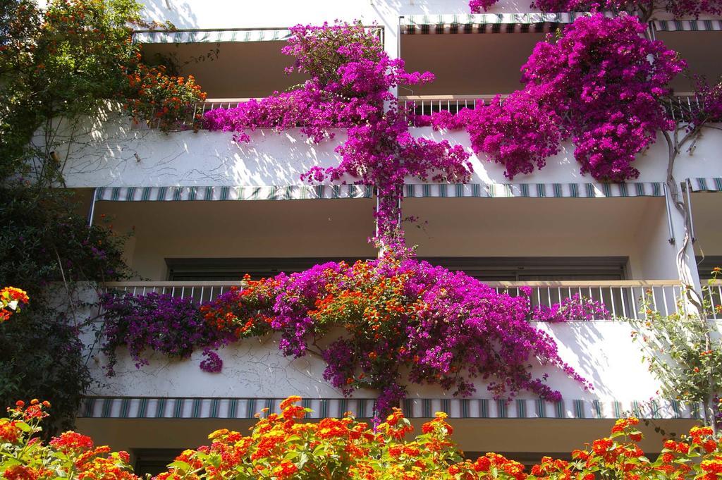 Hotel Pietracap Ville-di-Pietrabugno Zewnętrze zdjęcie